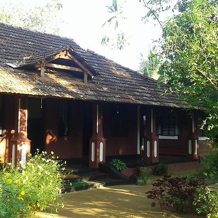 Отель Big Banana Island Retreat North Paravur Экстерьер фото