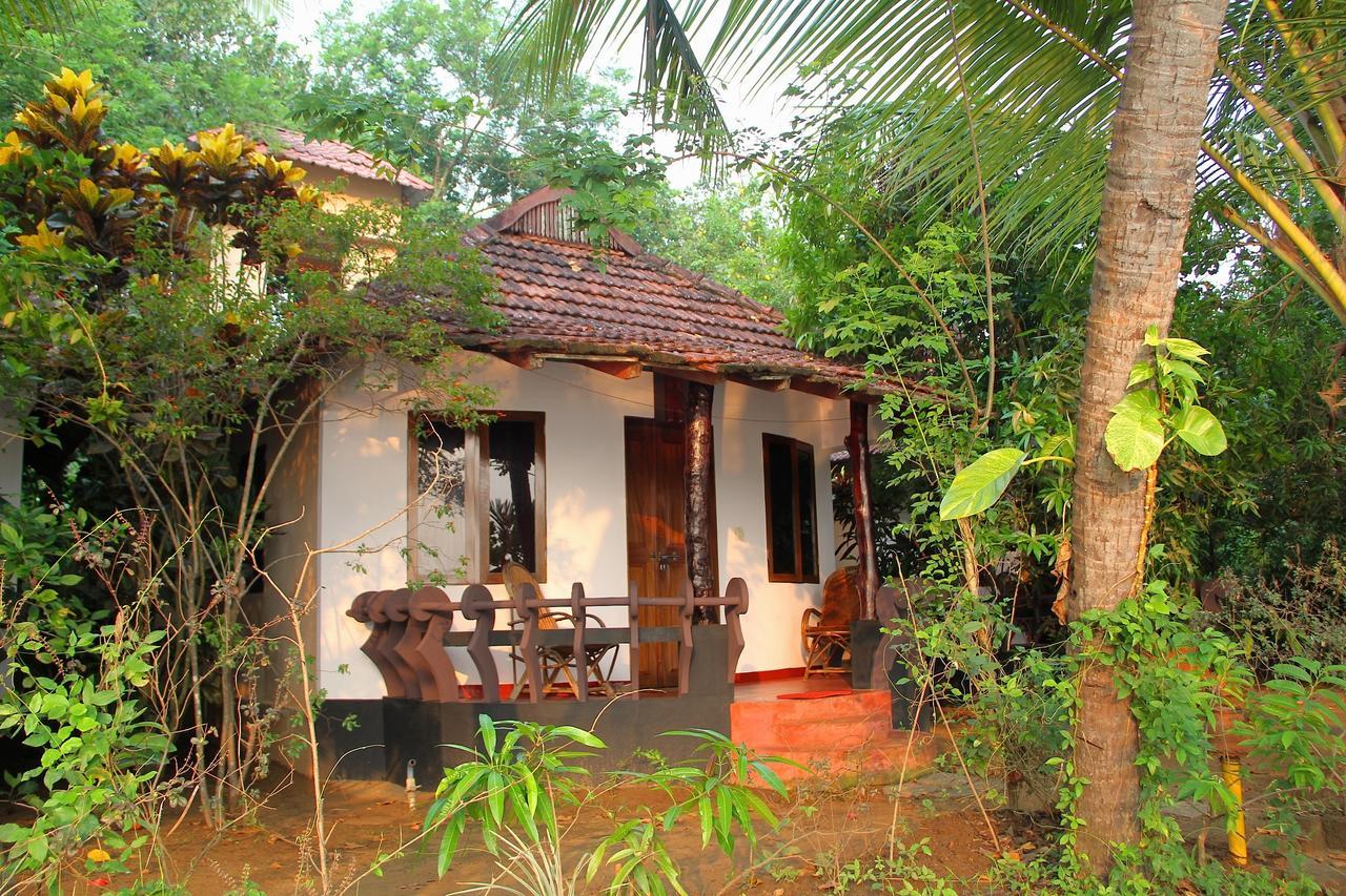 Отель Big Banana Island Retreat North Paravur Экстерьер фото