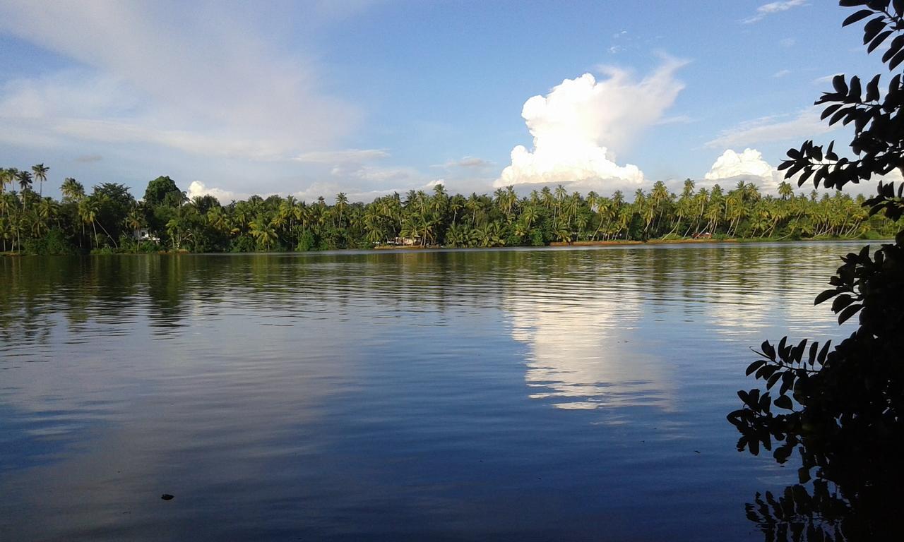 Отель Big Banana Island Retreat North Paravur Экстерьер фото