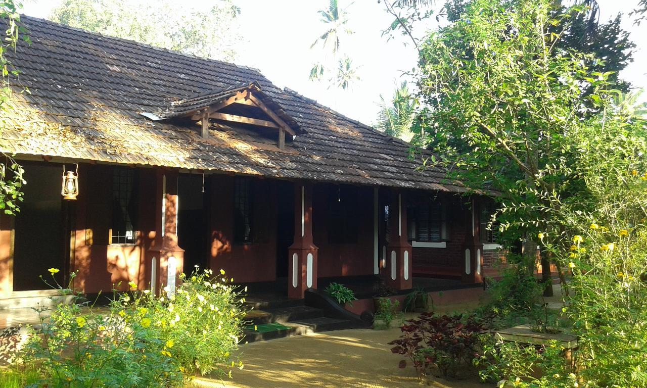 Отель Big Banana Island Retreat North Paravur Экстерьер фото